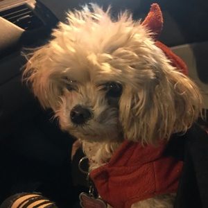 Meet your Posher, Tina